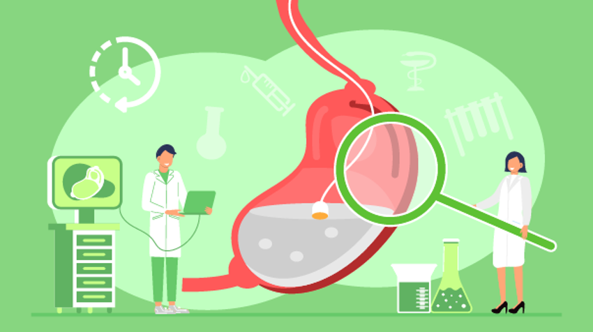 Easy Endoscopy
