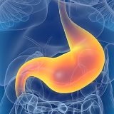 Endoscopia digestiva e gastroenterologia