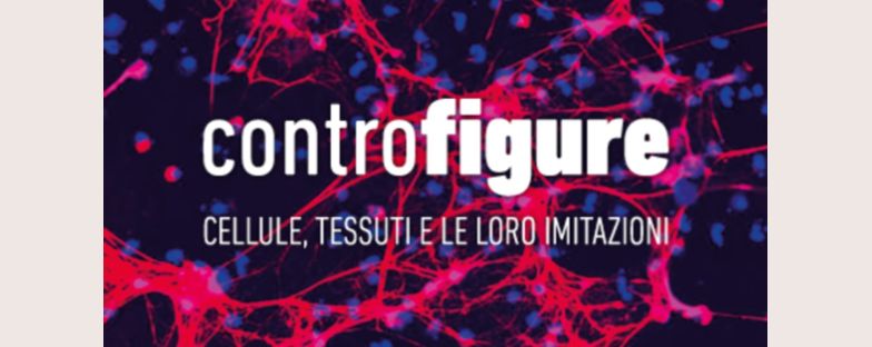 Al via la mostra “Controfigure. Cellule, tessuti e le loro imitazioni” 