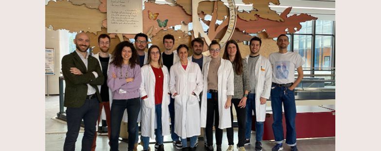 Scoperto un meccanismo chiave nella patogenesi del tumore al pancreas
