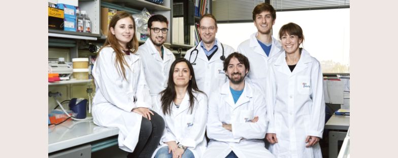 Leucemia linfoblastica acuta a cellule B: identificata una sottopopolazione di cellule leucemiche “simil-staminali” in grado di favorire la prognosi della malattia