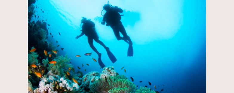 Immersioni subacquee: quali visite fare