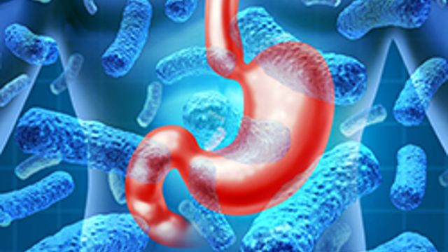 Endoscopia digestiva e gastroenterologia